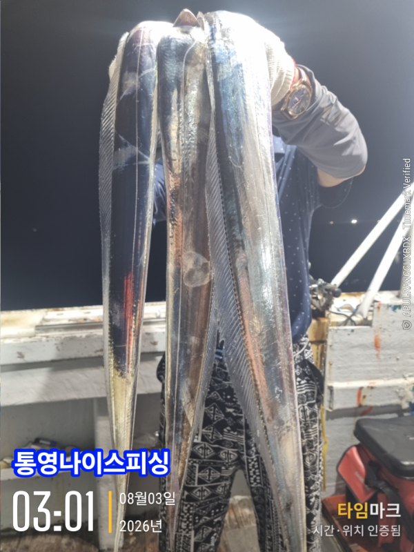 2026-08-03 03.01.58__(통영나이스피싱).jpg