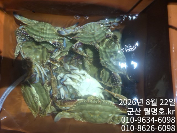 12232.jpg