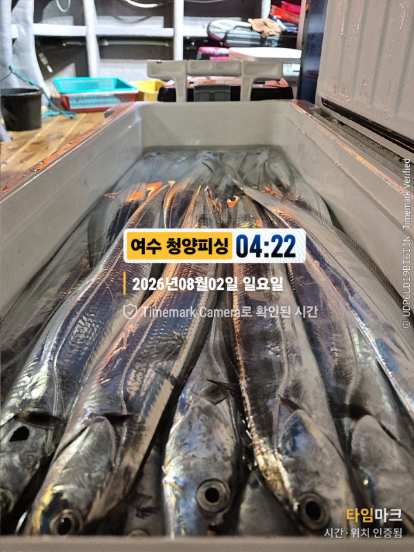 2026-08-02 04.22.36__(제목-여수 청양피싱).jpg