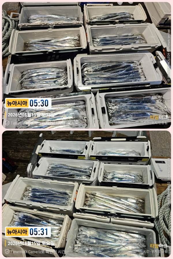 KakaoTalk_20260817_195122936_01-down.jpg