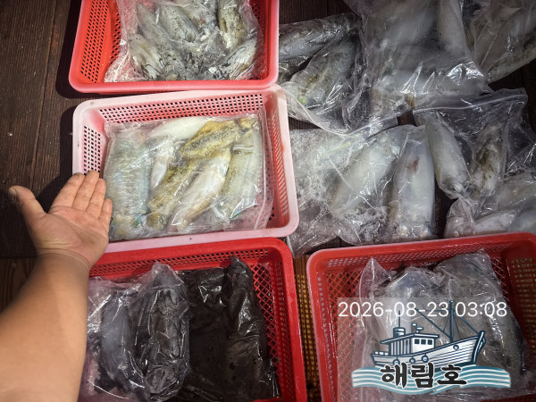 IMG_4450.jpeg