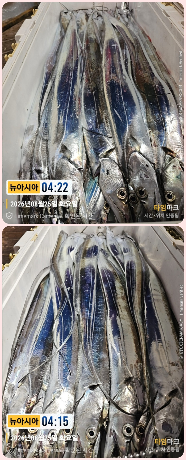 KakaoTalk_20260825_060703642_19-down.jpg