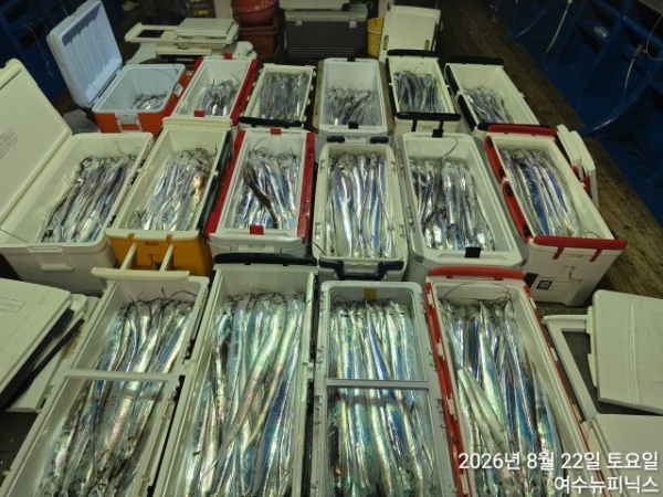 8월22일갈치 (43).jpg