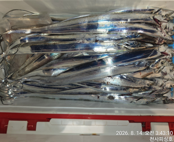 1004피싱_사진_20260814_16.jpg