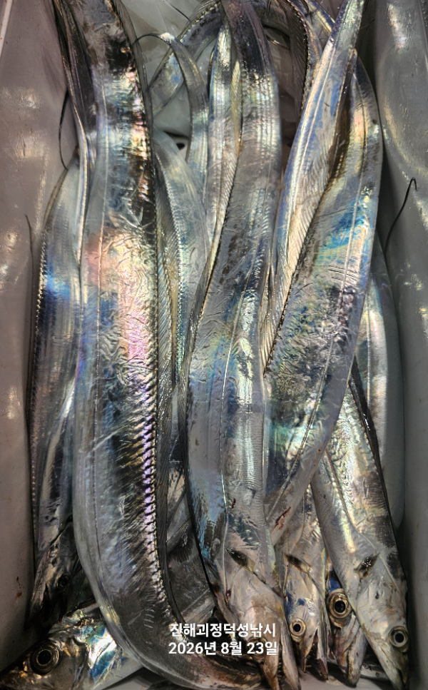1000076092.jpg