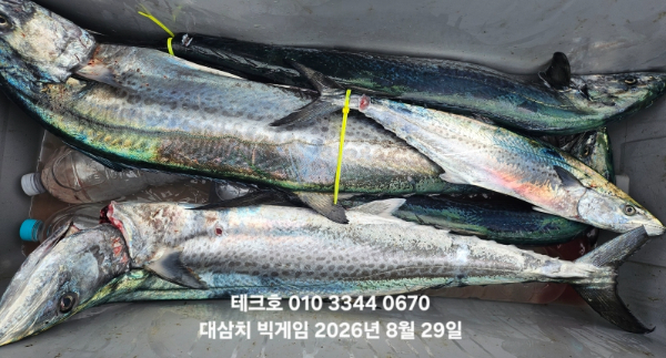 KakaoTalk_20260829_170907037.jpg