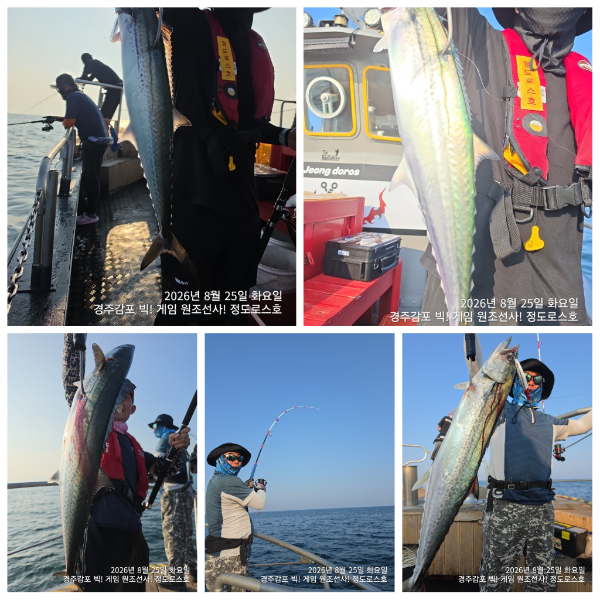 PhotoCollage_1787749268559.jpg