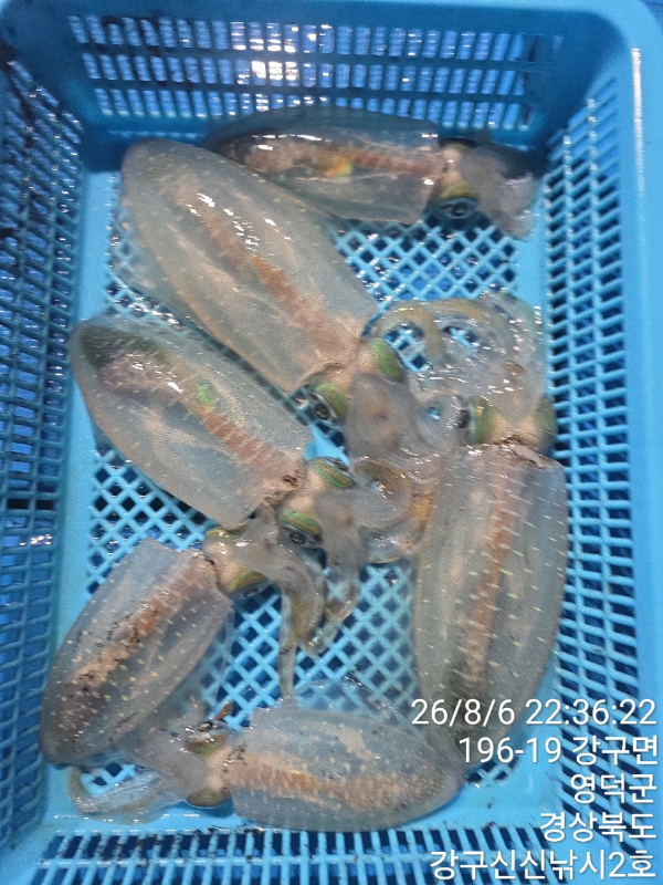 신신낚시 강구점 신신호_사진_20260807_13.jpg