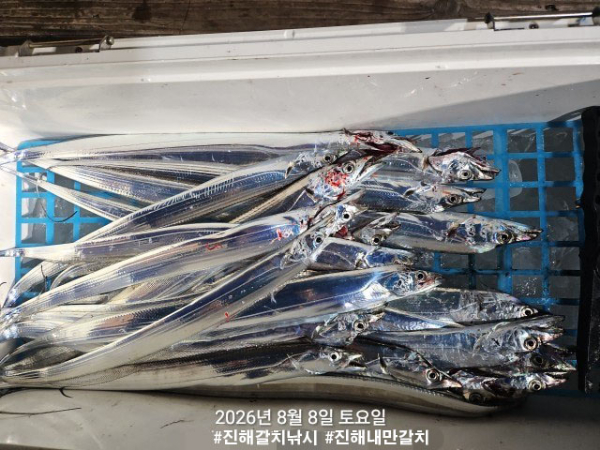KakaoTalk_20260808_111457391 복사.jpg