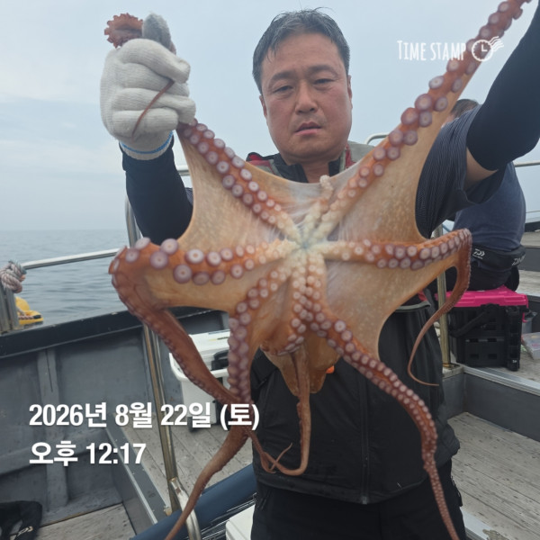 공현진낚시마트(돌핀호)_사진_20260822_6.jpg