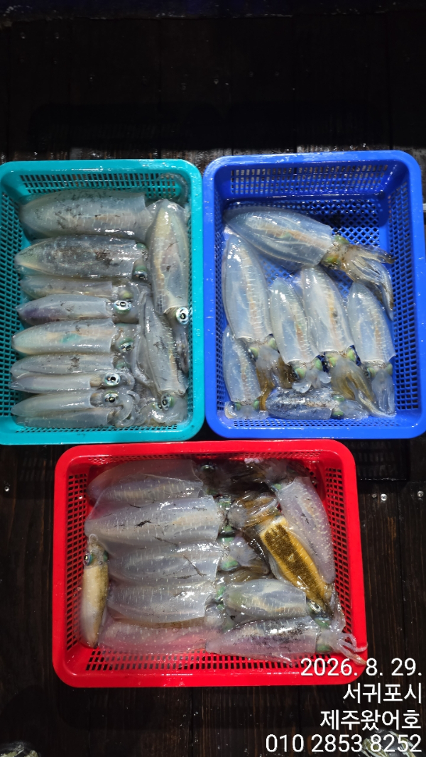 제주왔어호_사진_20260830_5.jpg