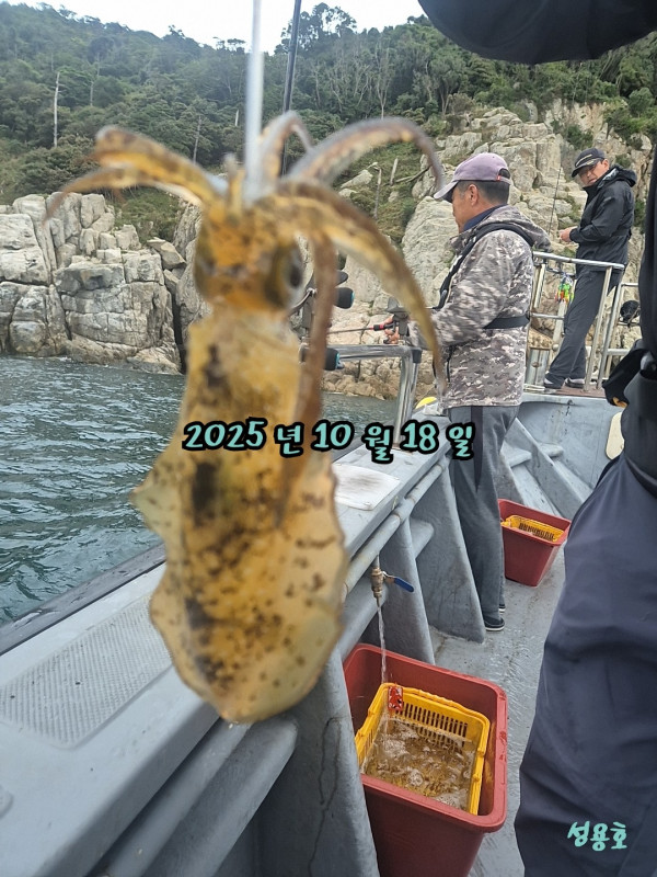 27168.jpg