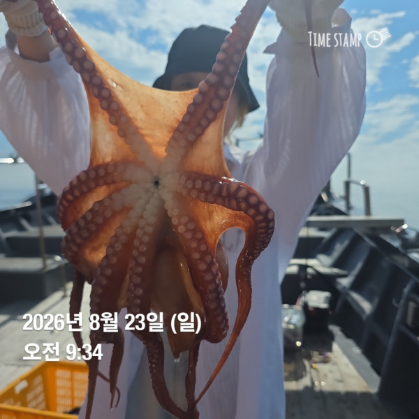 공현진낚시마트(돌핀호)_사진_20260823_3.jpg