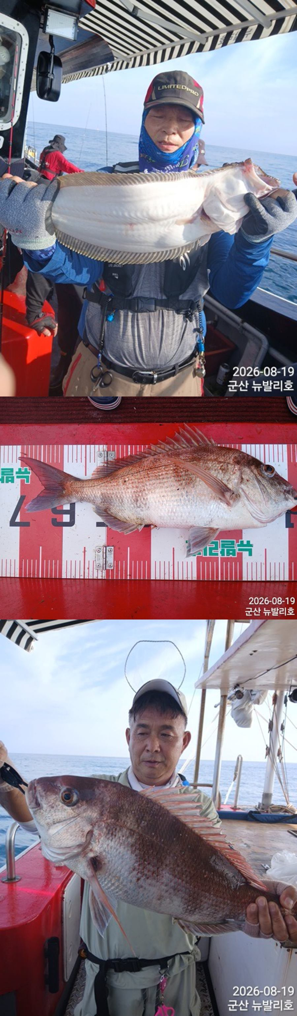 KakaoTalk_20260819_080450154_01-vert44444.jpg