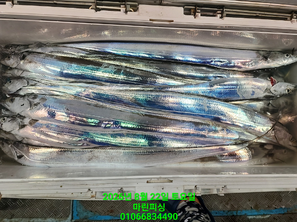 KakaoTalk_20260822_081749690_29.jpg