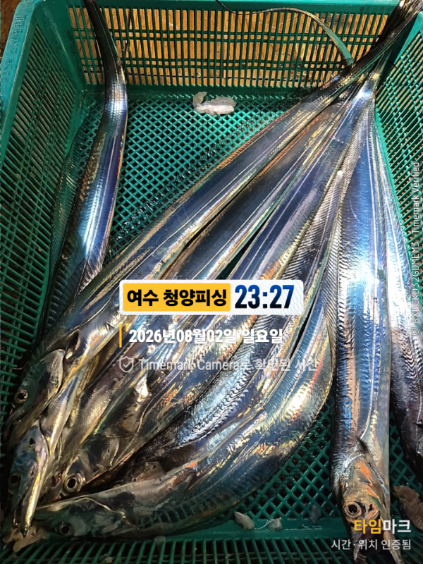 2026-08-02 23.27.03__(제목-여수 청양피싱).jpg