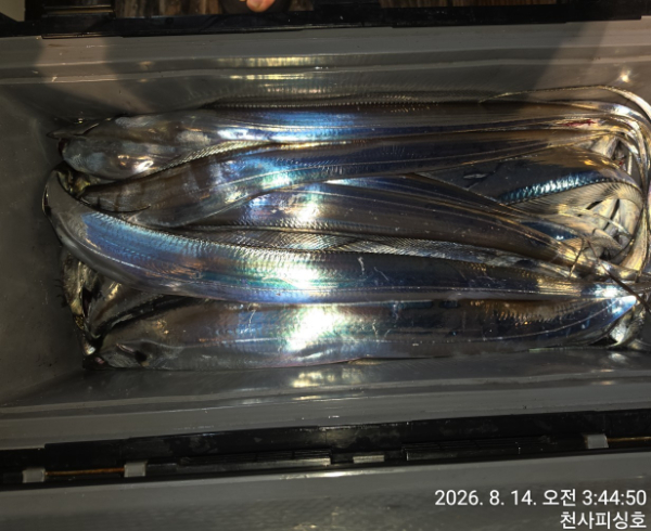 1004피싱_사진_20260814_10.jpg