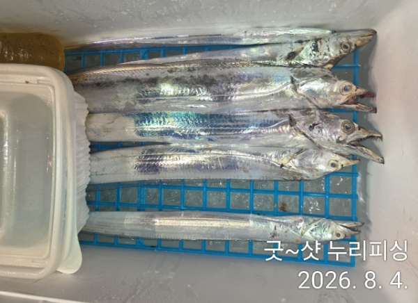 90801.jpg