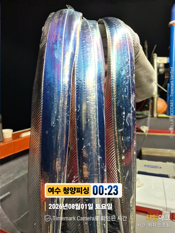2026-08-01 00.23.04__(제목-여수 청양피싱).jpg