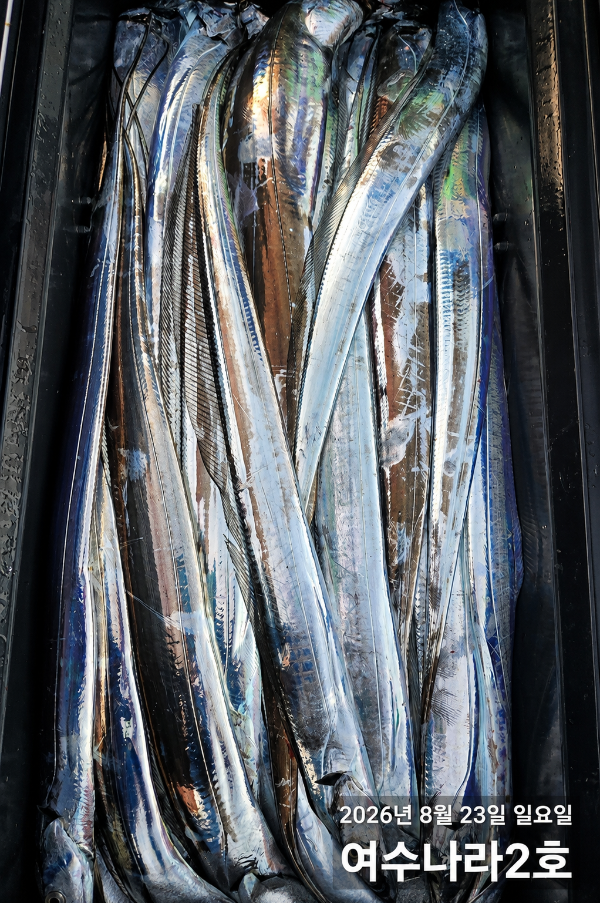 3945AA98-455C-498C-B496-0C003ACEB215.png