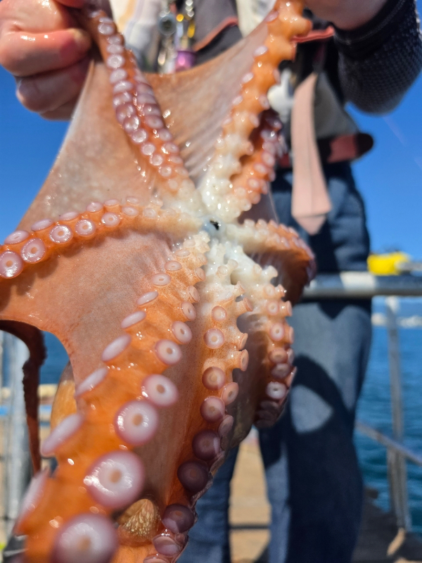 06FDFA37-5296-4511-AA0B-1477D65B4E22.jpeg