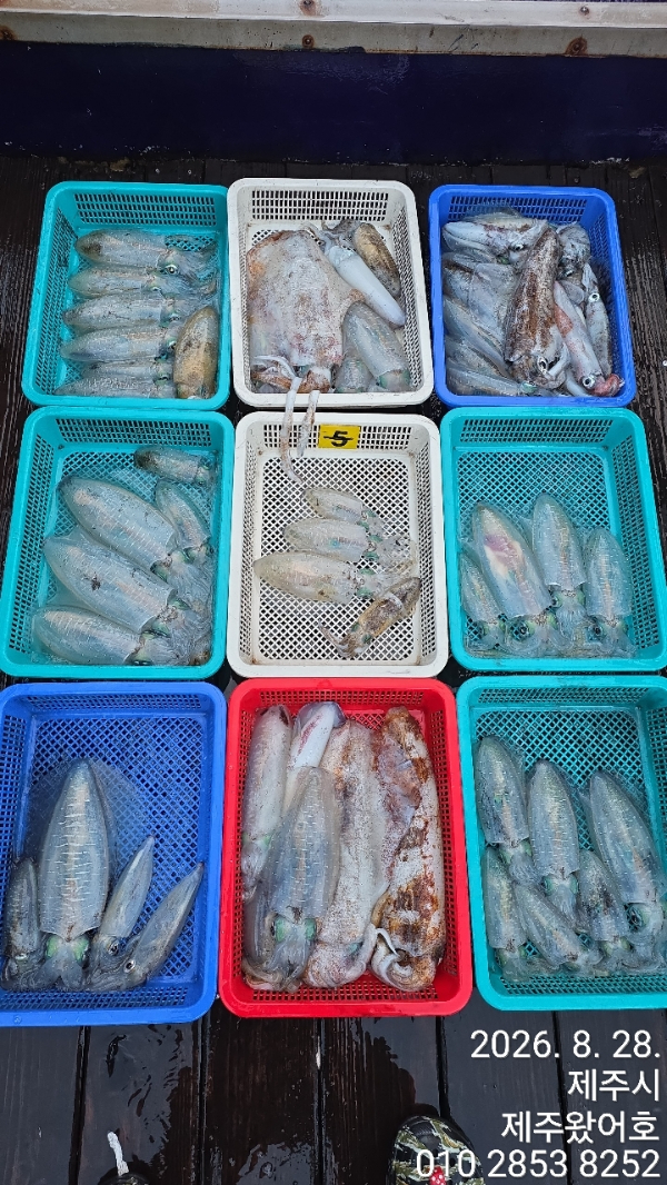 제주왔어호_사진_20260829_30.jpg