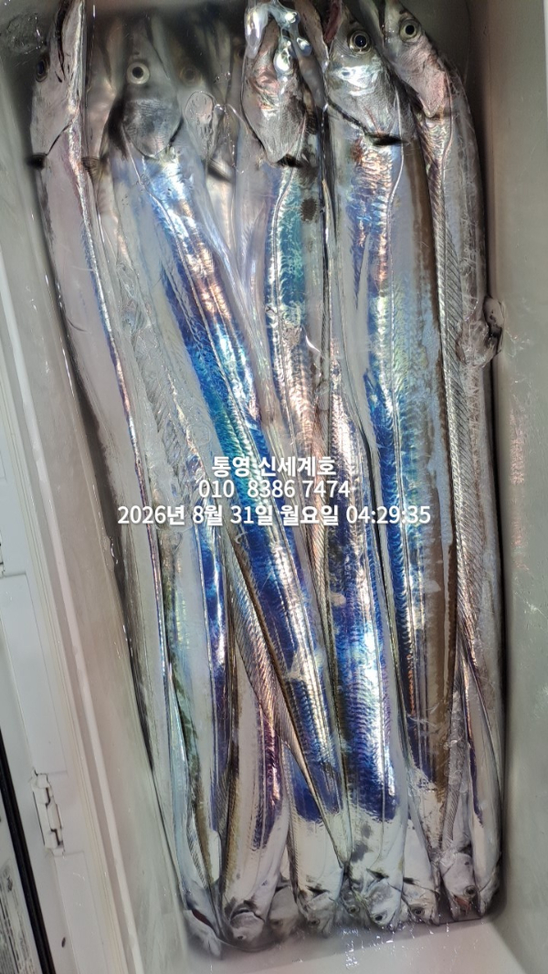 1788130785422.jpg
