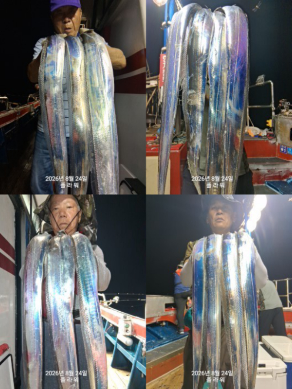 20260824_125654.jpg