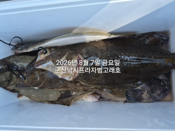 KakaoTalk_20260807_154956921_11.jpg