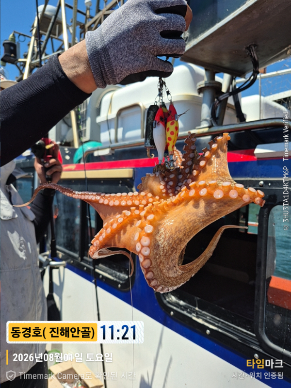 2026-08-01 11.21.20(2)__(제목-동경호( 진해안골)).jpg