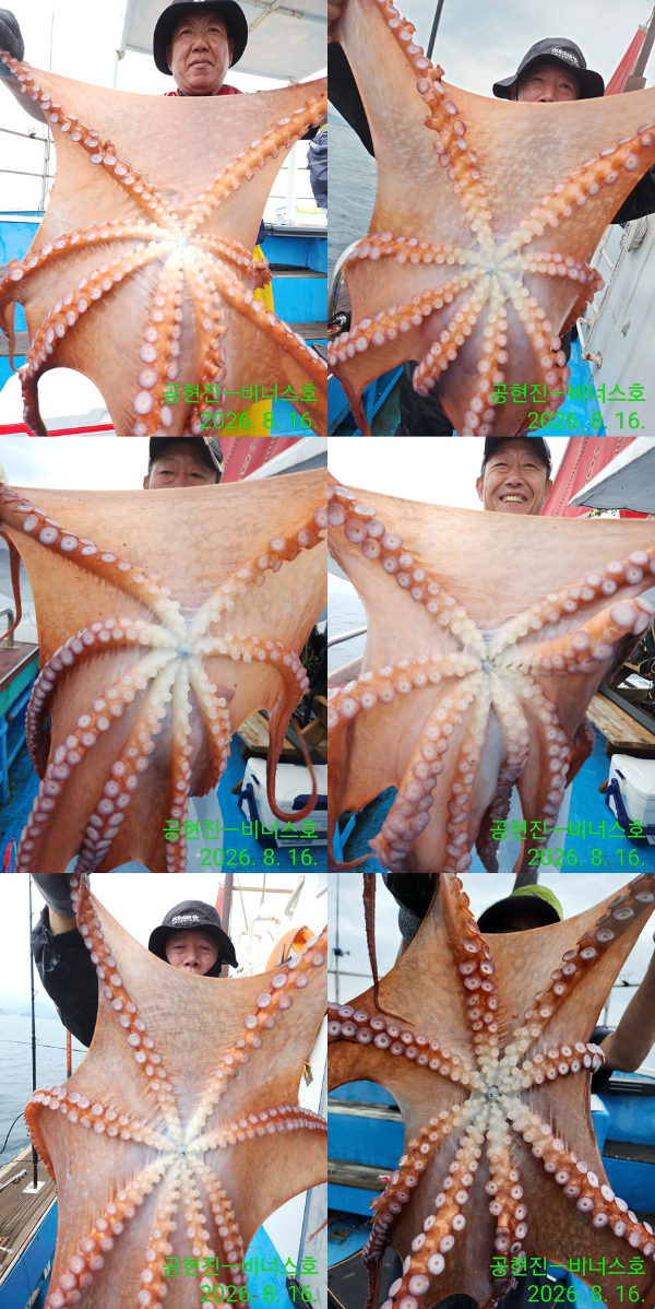 Resized_IMG_20260816_082028-tile.jpg