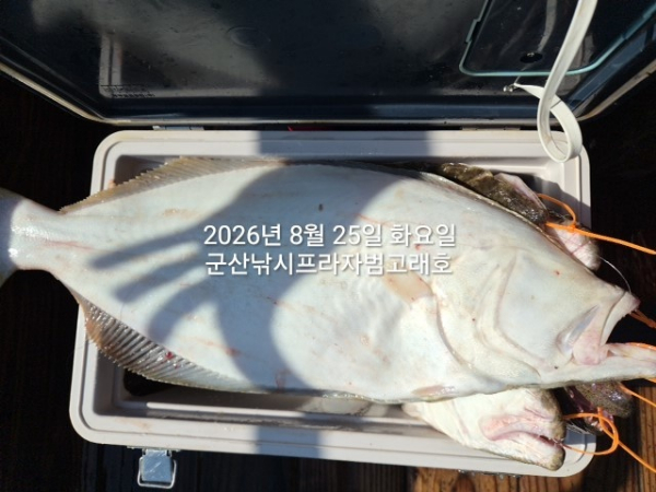KakaoTalk_20260825_165834940_03.jpg