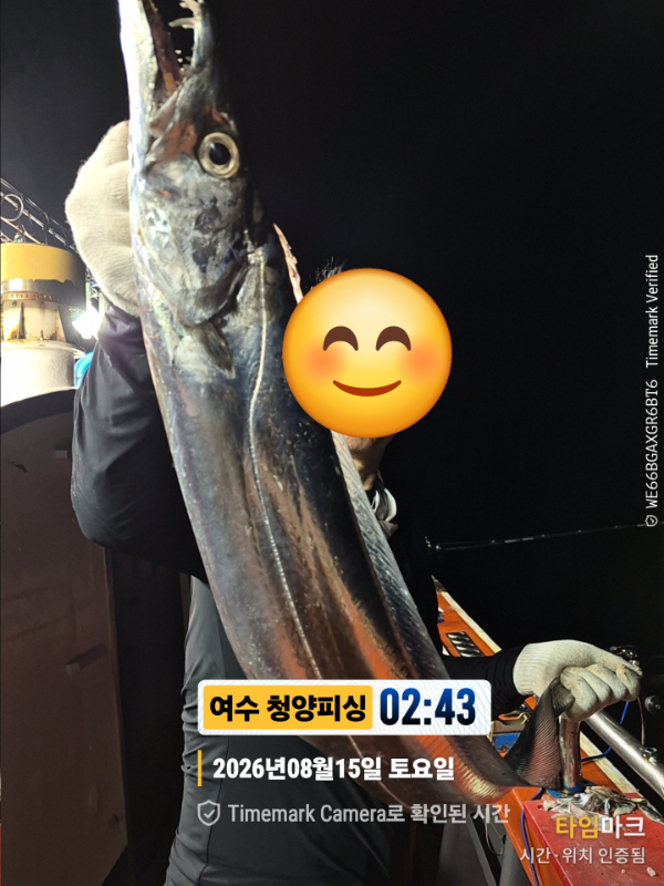 2026-08-15 02.43.19__(제목-여수 청양피싱).jpg