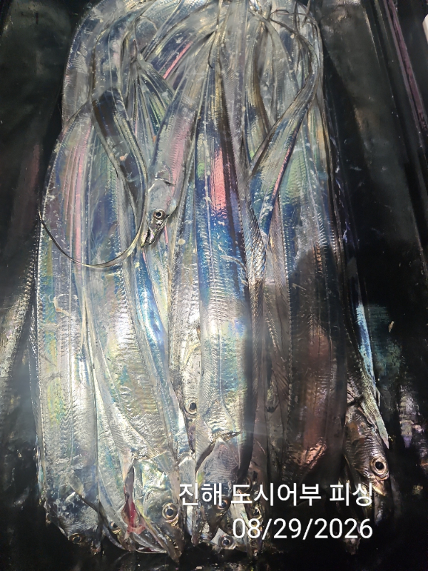 KakaoTalk_20260829_050630697_13.jpg