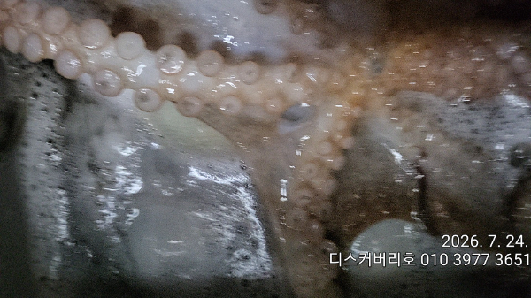 1000026289.jpg