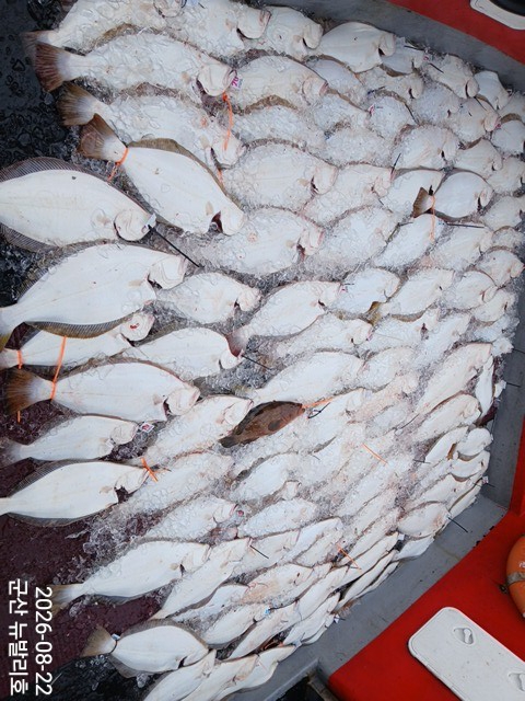 KakaoTalk_20260822_164137157_08.jpg