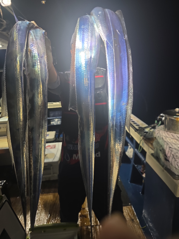 KakaoTalk_20260820_080748608_13.jpg