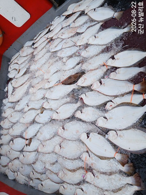 KakaoTalk_20260822_164137157_09.jpg