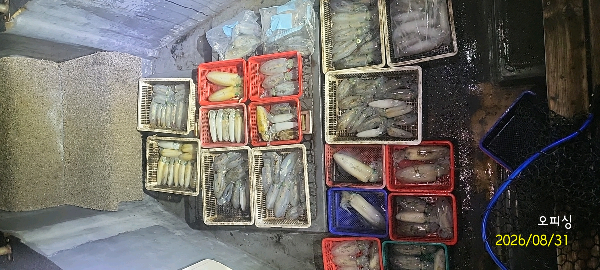 DateCamera0831001928.jpg