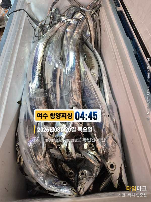 2026-08-20 04.45.46__(제목-여수 청양피싱).jpg