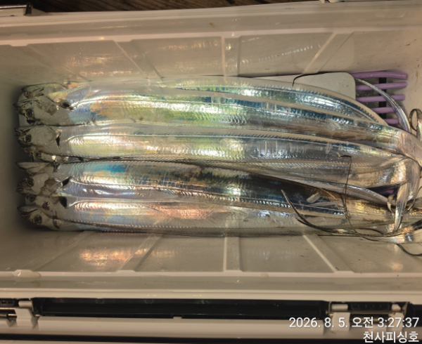 1004피싱_사진_20260805_12.jpg