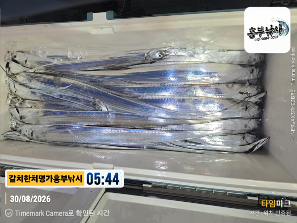 2026-08-30 05.44.24__(제목-갈치한치명가흥부낚시).jpg