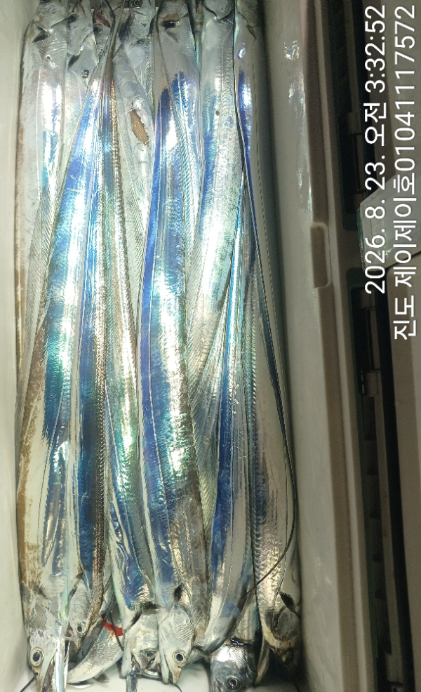 1000054045.jpg