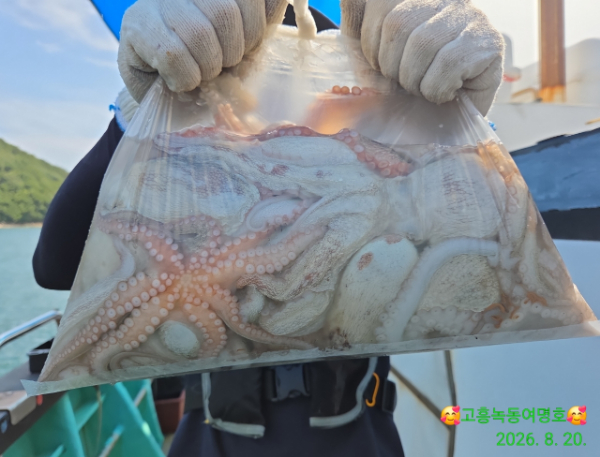 쎄븐피싱클럽(선상 버스출조전문)_사진_20260821_9.jpg