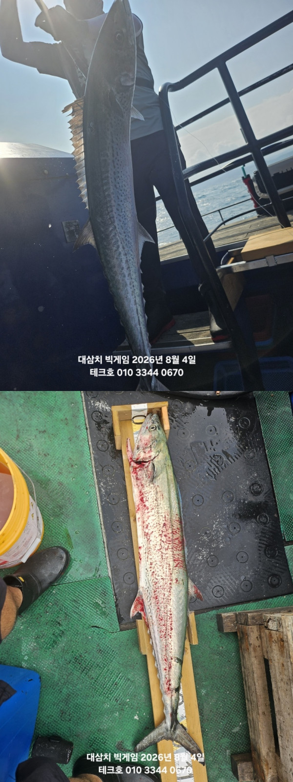 KakaoTalk_20260804_181430185_06-vert.jpg