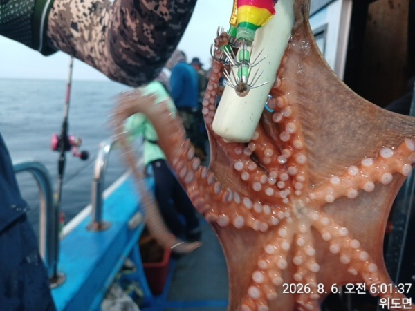 KakaoTalk_20260806_080413344_12.jpg