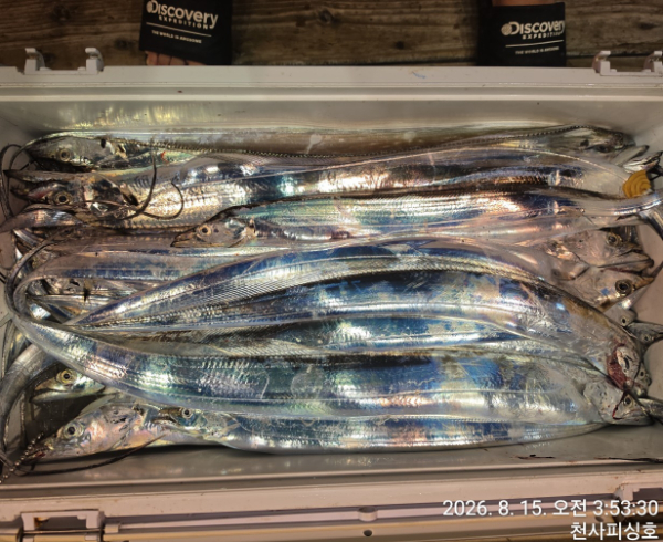 1004피싱_사진_20260815_7.jpg