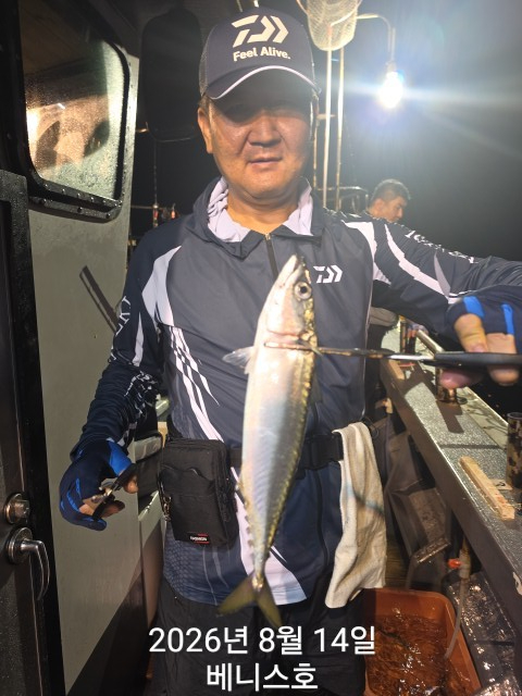 KakaoTalk_20260815_043820286_13.jpg