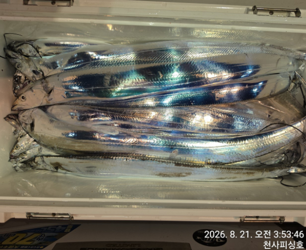 1004피싱_사진_20260821_7.jpg