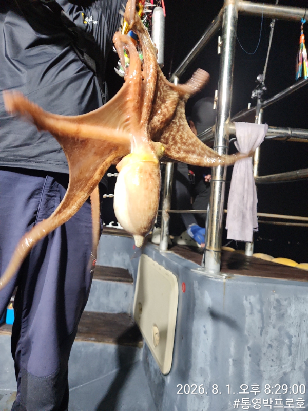 TimePhoto_20260801_202900.jpg